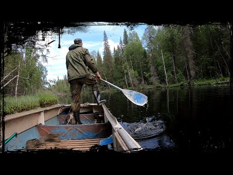 Видео: Таёжная мистика,случай в тайге.