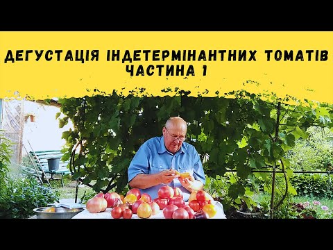 Видео: Дегустація індетермінантних томатів! Частина 1