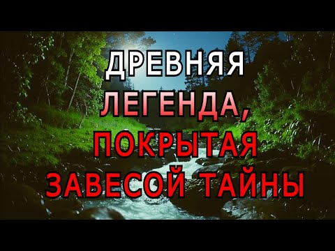 Видео: "Лисий бор". Мистическая история.