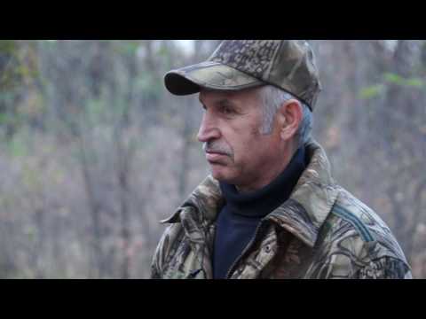 Видео: Охотничьи собаки. Сезон 2. Эстонская гончая