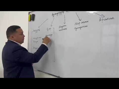 Видео: Өзендердің қоректену түрлері