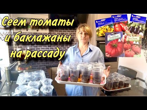 Видео: ЖАЛЕЮ что раньше так не СЕЯЛА /  Сею Томаты и Баклажаны На Рассаду.