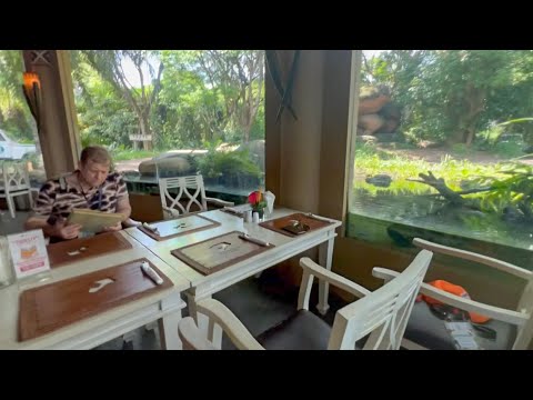 Видео: Олег Зубков на Бали! Праздник в ЛЬВИНОМ РЕСТОРАНЕ и как накормить ПИРАНИЙ?!