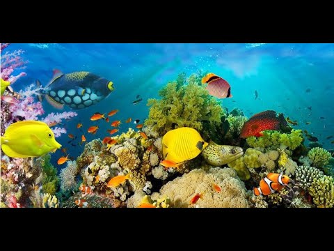 Видео: Советы для начинающих - алмазная мозаика/ Tips for Beginners - Diamond Mosaic