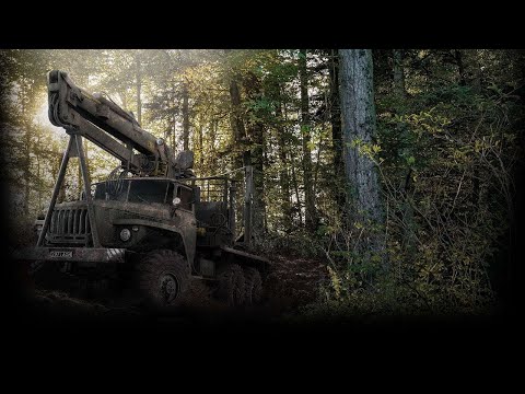 Видео: Катаемся в спинтаерс.Чилим.Отдыхаем.