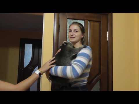 Видео: День- 16 / На встречу с Vredina Life \20. 07. 2019