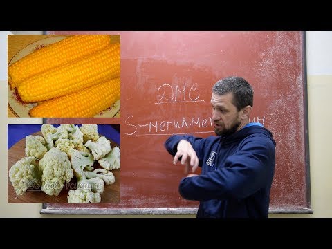 Видео: ДМС в пиве. Что делать если пиво пахнет варёной кукурузой