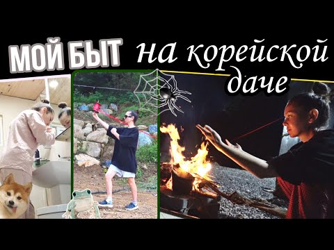 Видео: Живу одна в горах Кореи ^^ KOREA VLOG