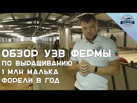 Видео: Обзор УЗВ ФЕРМЫ ПО ВЫРАЩИВАНИЮ 1 млн МАЛЬКА ФОРЕЛИ в год