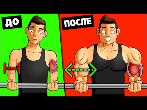 Видео: 10 ЛУЧШИХ упражнений для ШИРОКОГО БИЦЕПСА!