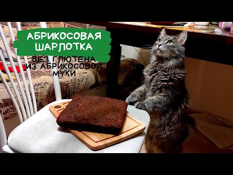 Видео: Абрикосовая шарлотка, без глютена! 🥧
