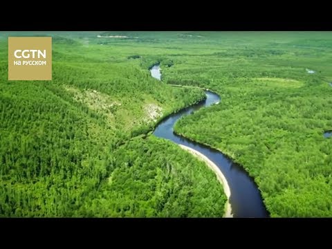 Видео: Китай с птичьего полета Серия 3 Хэйлунцзян Часть 1 [Age 0+]