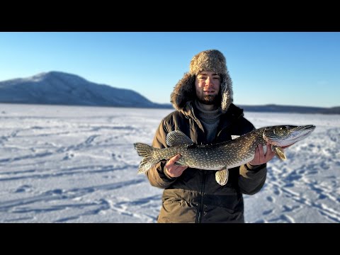 Видео: СЕВЕРНАЯ РЫБАЛКА на НАЛИМА и ЩУКУ. Озёра БУРЯТИИ. Ловим на ЖЕРЛИЦЫ