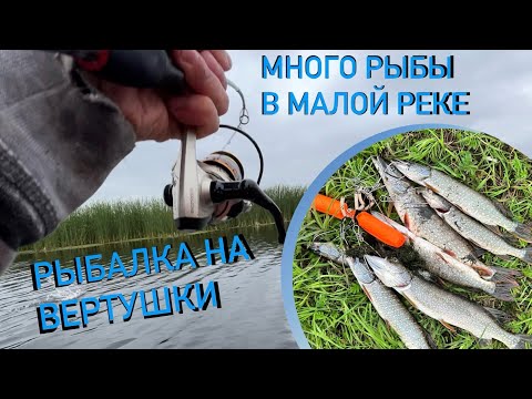 Видео: Рыбалка на вертушки / Много рыбы в малой реке