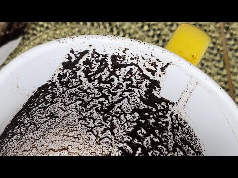 Видео: ❤️‍🔥😈 ЛИЧНАЯ ЖИЗНЬ БЛИЖАЙШИЕ МЕСЯЦЫ❗️ ГАДАНИЕ НА КОФЕ ☕️