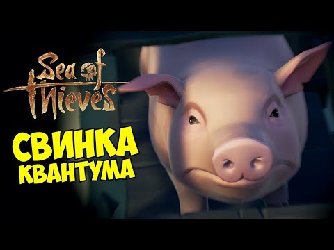Видео: НАПАЛИ ВТРОЕМ НА ОДНОГО. НАСТОЯЩИЕ ПИРАТЫ И СВИНКА КВАНТУМА - SEA OF THIEVES