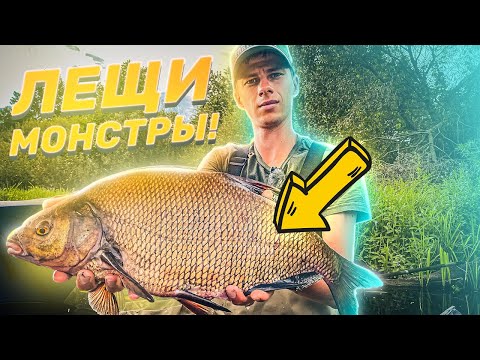 Видео: ЛЕЩИ - МОНСТРЫ В БЕЛАРУСИ! СЕКРЕТНОЕ МЕСТО! РЫБАЛКА ЧУТЬ НЕ СОРВАЛАСЬ, НО ТУТ ПОЯВИЛИСЬ ОНИ...