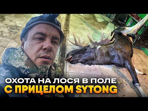Видео: Четыре попадания, а он все шел.. | Охота на лося | Охота с Sytong AM06-50LRF | Добыл трофейного лося