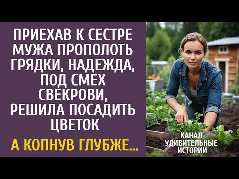 Видео: Приехав к сестре мужа прополоть грядки, под смех свекрови решила посадить цветок… А копнув глубже…
