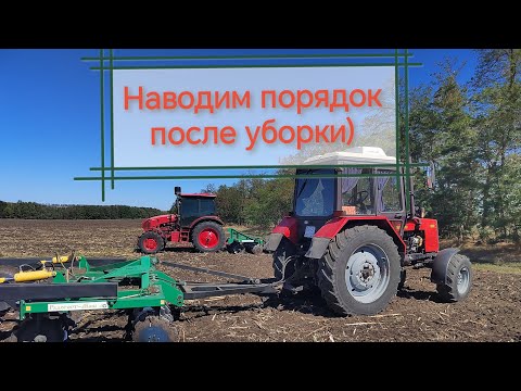 Видео: Дискуем всё!