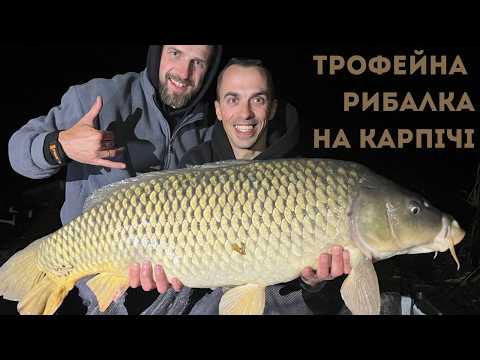 Видео: Неймовірна рибалка на озері Карпич — купа кльову і великі коропи!