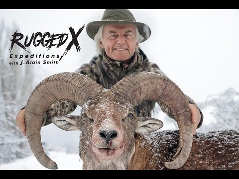 Видео: Бухарский уриал Таджикистана