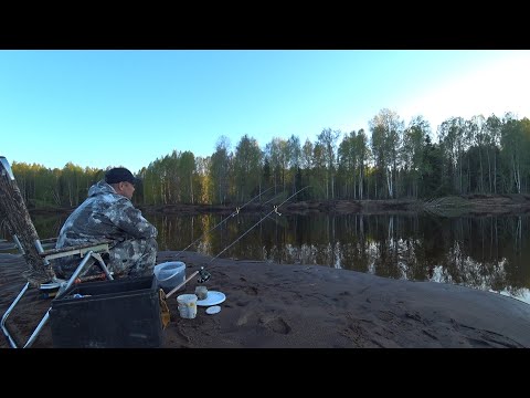 Видео: Сезон открыт! Пробный выезд на фидерную рыбалку.