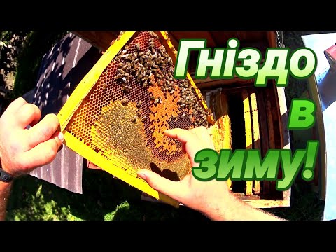 Видео: ПІДГОТОВКА БДЖОЛИНОГО ГНІЗДА ДО ЗИМИ. Як зібрати гніздо бджіл?