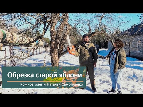 Видео: Обрезка старой яблони.   В гостях у Репейника.