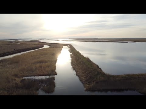 Видео: Ловля САЗАНА на озере САРТЛАН. Попали на хороший КЛЁВ. Новосибирская область, май 2024