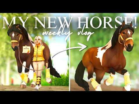 Видео: Неделя с моей НОВОЙ лошадью! ✨ Тренировки, работа на корде и многое другое! II SSO (рекомендуемая...