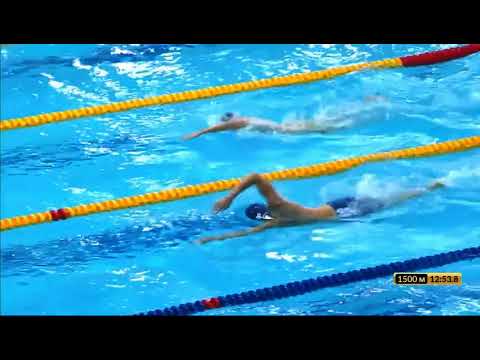 Видео: 1500 м вольный стиль Мужчины Кубок Сальникова 22