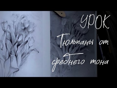 Видео: Тюльпаны. Часть 2. Рисунок  от тонированного листа
