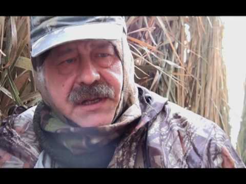Видео: Охотничьи истории. Сезон 1. Утиная охота с чучелами (2 серия)