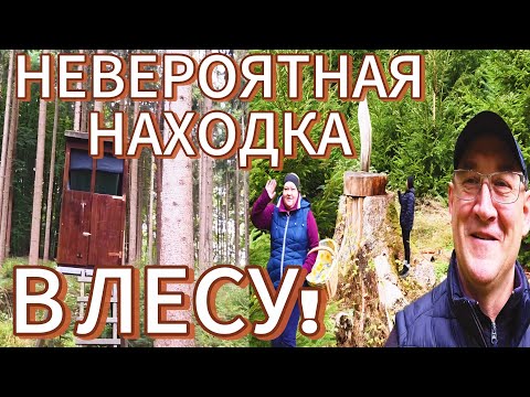 Видео: Тихая охота 2025 в осеннем лесу 🌲🍂День, полный чудес!