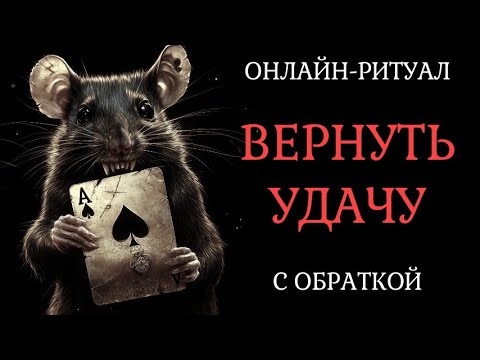 Видео: ВЕРНУТЬ УДАЧУ: ЧИСТКА С ОБРАТКОЙ. ОНЛАЙН-РИТУАЛ