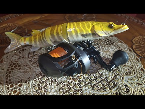 Видео: Мультипликаторная катушка Abu Garcia Revo BEAST 41 HSL. Взгляд снаружи и внутри.
