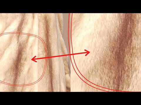 Видео: Вся правда о покраске/ тонировке меха