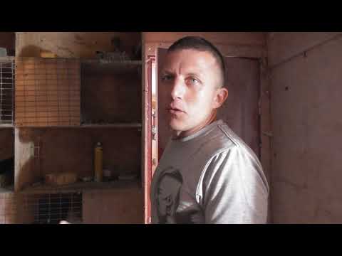 Видео: Бакинская птица у Олега 1. ЧАСТЬ