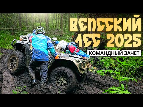 Видео: Гонка Вепсский лес 2025 Клубный зачет