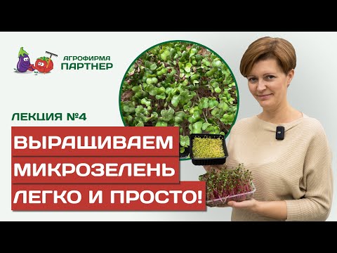 Видео: ВСЕ, ЧТО НУЖНО ЗНАТЬ О МИКРОЗЕЛЕНИ