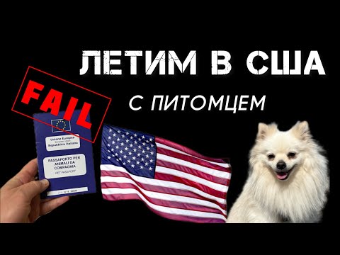 Видео: ПЕРЕЛЕТ В США С СОБАКОЙ