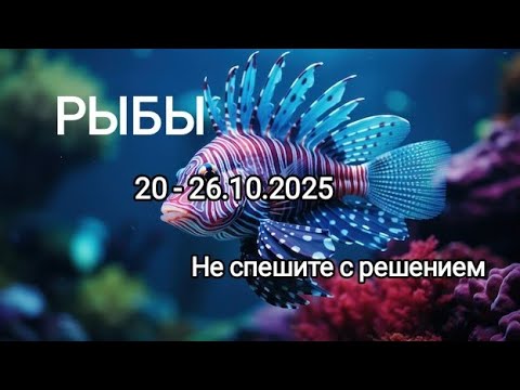 Видео: РЫБЫ✨20 - 26.10.2025✨ Тароскоп 🍁