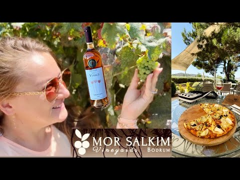 Видео: Bodrum | Винодельня Mor Salkım, Artichoke Pizza & Rosé Winе, Турция 2025