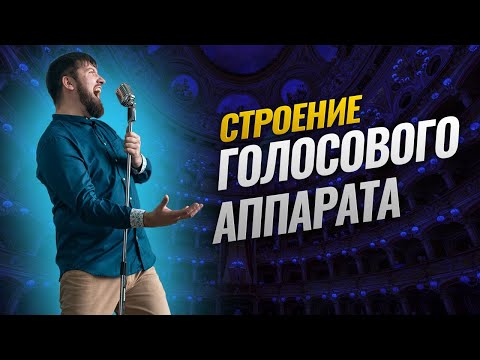 Видео: Строение голосового аппарата. Гортань и голосовые связки🗣