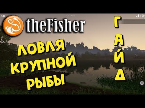 Видео: The Fisher Online - МЕТОД ЛОВЛИ КРУПНОЙ РЫБЫ