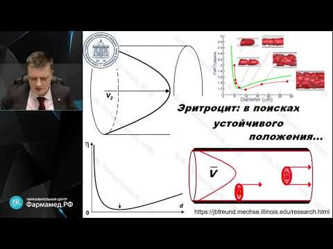 Видео: Клиническая физиология кровообращения   на каждый день Лебединский К.М.