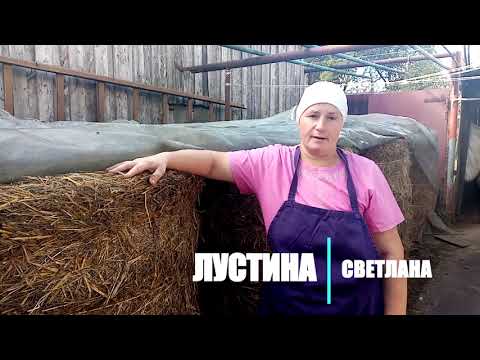 Видео: Зачем моим курам СОЛОМА зимой. Как солома создает плодородие земли.