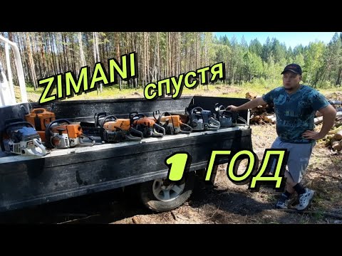 Видео: ЧТО Я ДУМАЮ О БЕНЗОПИЛАХ ZIMANI (250, 450, 361pro, 365pro, 372pro ,660pro)🤔