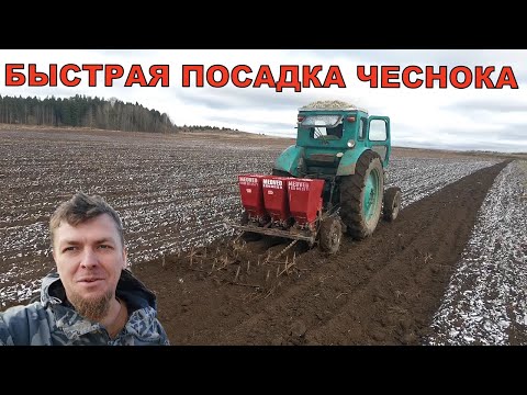 Видео: МЕХАНИЗИРОВАННАЯ ПОСАДКА ОЗИМОГО ЧЕСНОКА